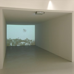 "α, β, γ" Gallery Mezzanin, Vienna, 2005, with Christian Mayer and Marlene Haring, Untitled, 135x90x25cm, inkjetprint, plexiglas, acrylic, 2005