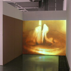 "Qui vive", National center for contemporary arts Moscow, 2005, untitled, video (3min, looped), wallpaint, 2005